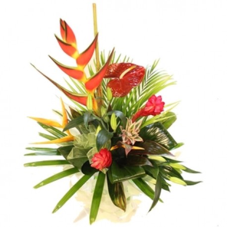 Tropical sunset. Not available same day